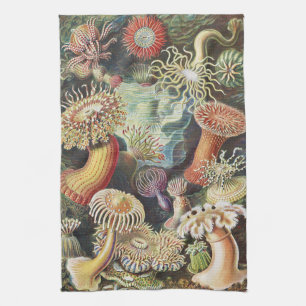 Haeckel Sea Anemones Nautical Sea Life Art Collage Kitchen Towel