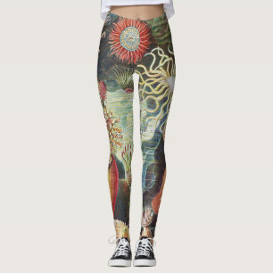 Haeckel Sea Anemones Nautical Sea Life Art Collage Leggings