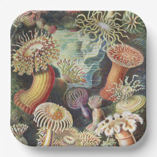 Haeckel Sea Anemones Nautical Sea Life Art Collage Paper Plate
