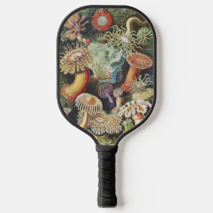 Haeckel Sea Anemones Nautical Sea Life Art Collage Pickleball Paddle