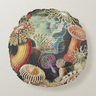 Haeckel Sea Anemones Nautical Sea Life Art Collage Round Pillow