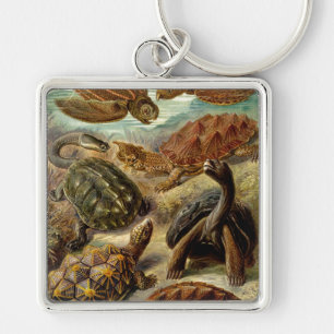 Haeckel Turtles Keychain