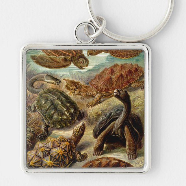 Haeckel Turtles Keychain (Front)