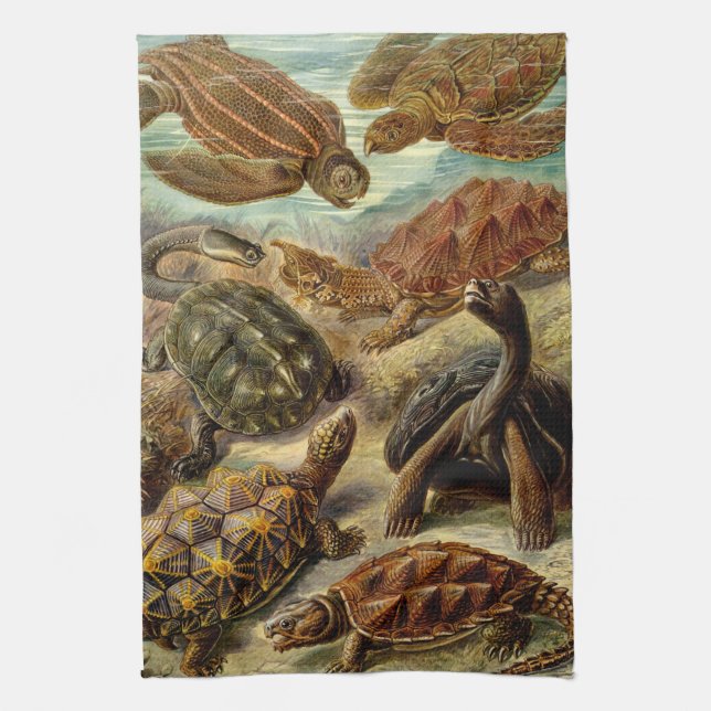 Haeckel Turtles Kitchen Towel (Vertical)
