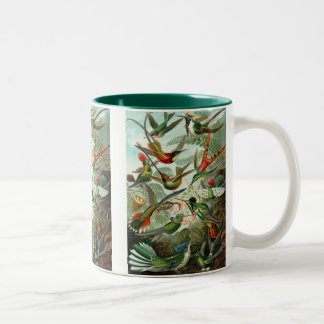 Haeckel Two-Tone Coffee Mug