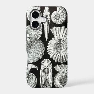 Haeckel vintage