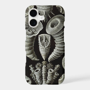 Haeckel vintage
