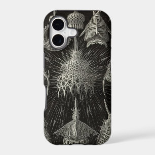 Haeckel vintage