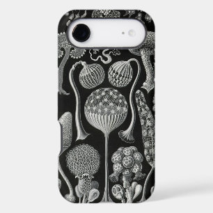 Haeckel vintage