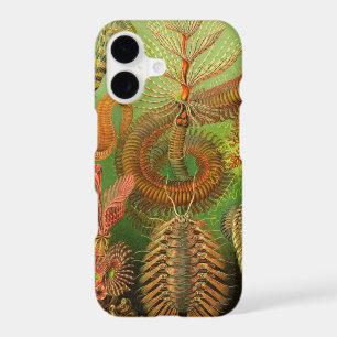 Haeckel vintage
