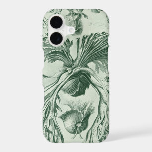 Haeckel vintage