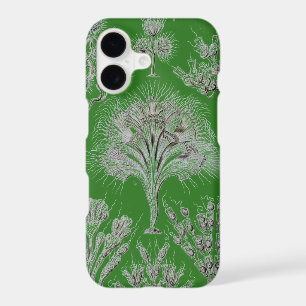 Haeckel vintage