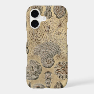 Haeckel vintage