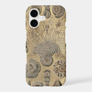 Haeckel vintage
