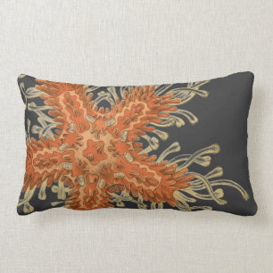 Haeckel vintage sealife lumbar pillow