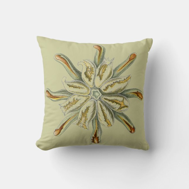 Haeckel vintage sealife throw pillow (Front)