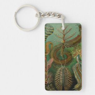 Haeckel's Chaetopoda Keychain