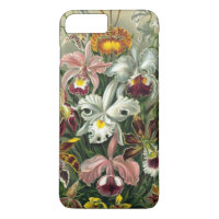 Haeckel's Colourful Orchid Lithograph