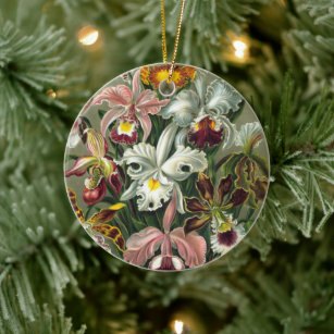 Haeckel's Colourful Orchid Lithograph Ceramic Ornament