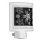 Haeckle 1889 Science White on Black