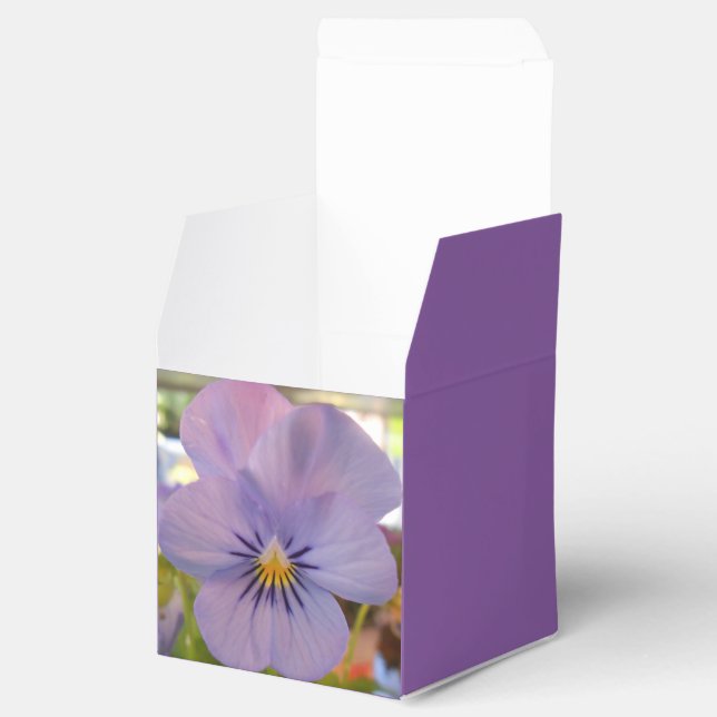 Haetzlern Favor Box (Opened)