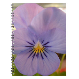 Haetzlern Notebook