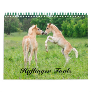 Haflinger Foals - size medium Calendar