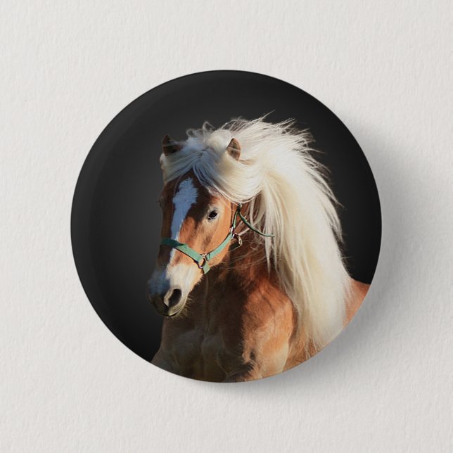 Haflinger Horse 2 Inch Round Button (Front)