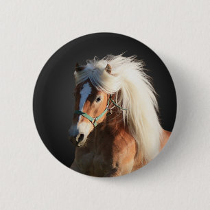 Haflinger Horse 2 Inch Round Button