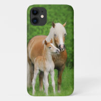 Haflinger Horse Cute Baby Foal Kiss Mum Pony Photo