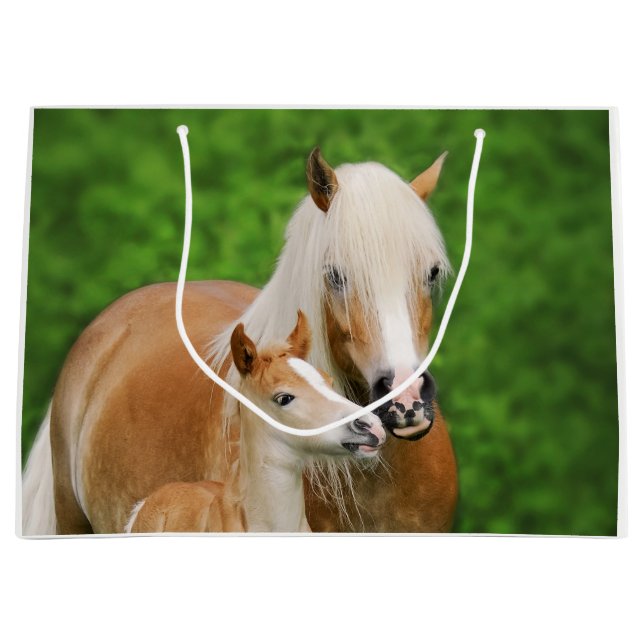 Haflinger Horse Cute Baby Foal Kiss Mum Pony Photo Large Gift Bag (Front)