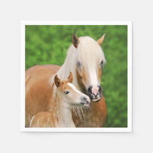 Haflinger Horse Cute Baby Foal Kiss Mum Pony Photo Napkin