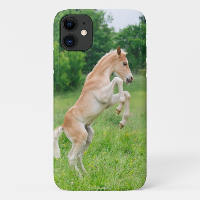 Haflinger Horse Cute Foal Frolicking and Playing - Case-Mate iPhone Case (Back)