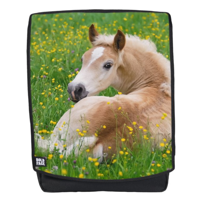 Haflinger Horse Cute Foal in a Flowerbed  Boldface Backpack (Front)