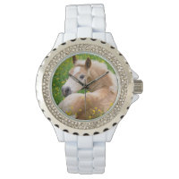 Haflinger Horse Cute Foal in a Flowerbed for girls