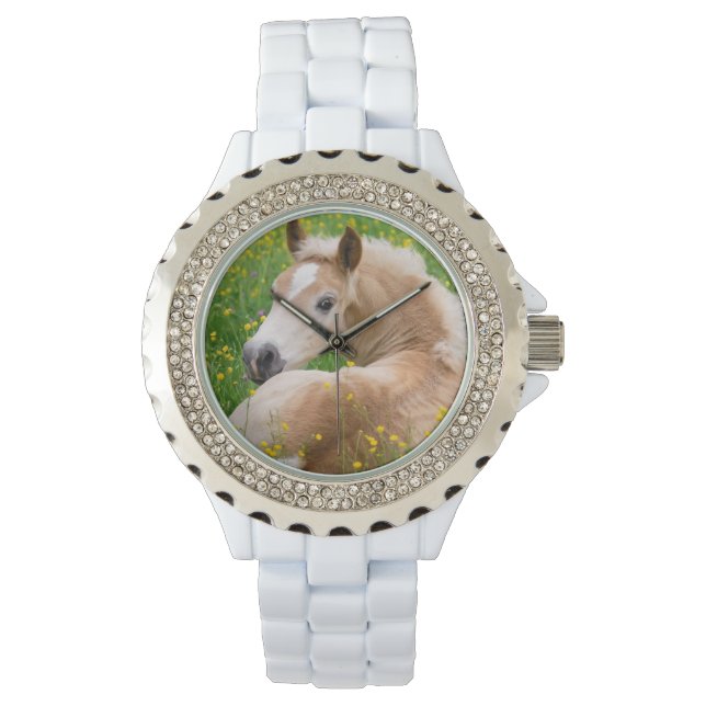 Haflinger Horse Cute Foal in a Flowerbed for girls Watch (Front)
