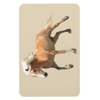 Haflinger Horse Magnet. Magnet