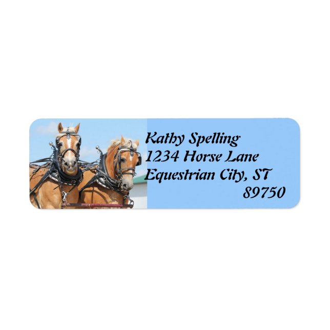 Haflinger Horses (Front)