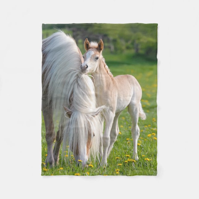 Haflinger Horses Cute Baby Foal With Mum Photo . Fleece Blanket (Front)