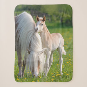 Haflinger Horses Cute Baby Foal With Mum Photo , Sherpa Blanket