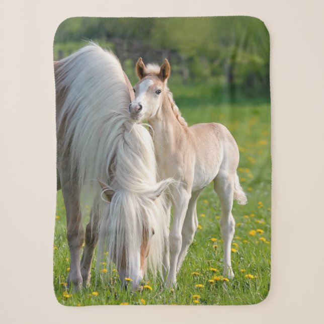 Haflinger Horses Cute Baby Foal With Mum Photo , Sherpa Blanket (Front)