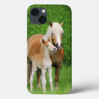 Haflinger Horses Cute Foal Kiss Mum -