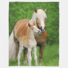 Haflinger Horses Cute Foal Kiss Mum Funny - cozy