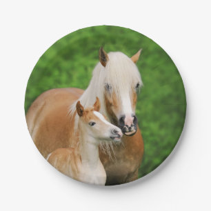 Haflinger Horses Cute Foal Kiss Mum Funny Party Paper Plate
