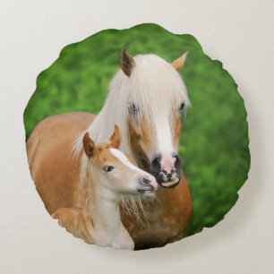 Haflinger Horses Cute Foal Kiss Mum Photo smooth Round Pillow