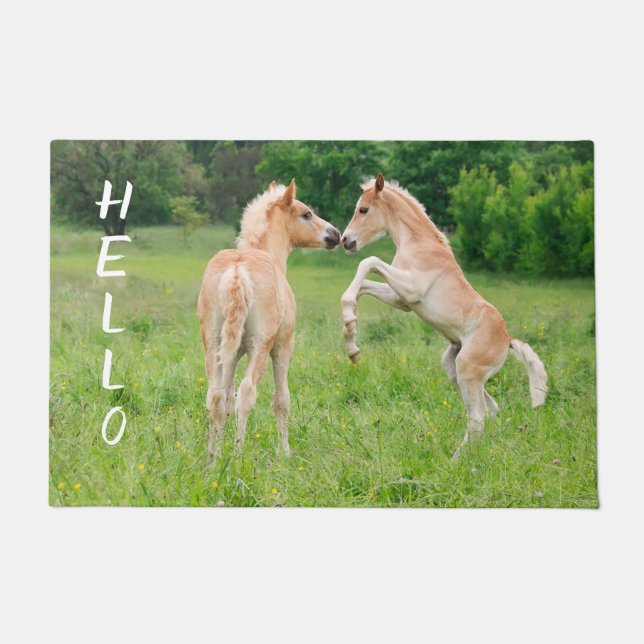 Haflinger Horses Cute Foals Friends Rearing Photo Doormat (Front)