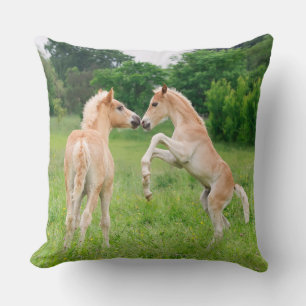 Haflinger horses cute foals rearing and playing - throw pillow
