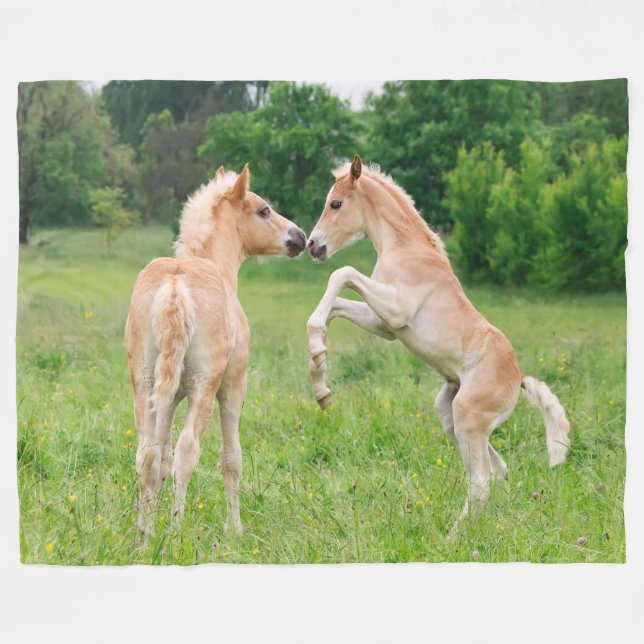 Haflinger Horses Cute Foals Rearing, cozy Fleece Blanket (Front (Horizontal))