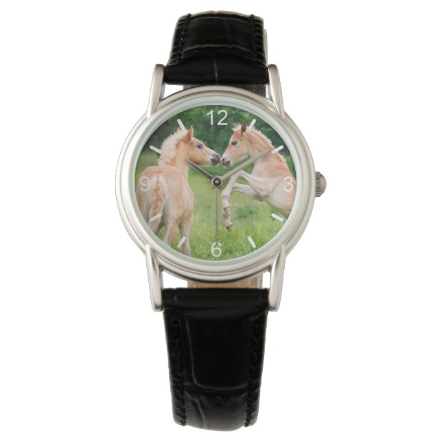 Haflinger Horses Cute Foals Rearing Funny Photo - Watch (Front)