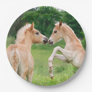 Haflinger Horses Cute Foals Rearing, Happy Party Paper Plate